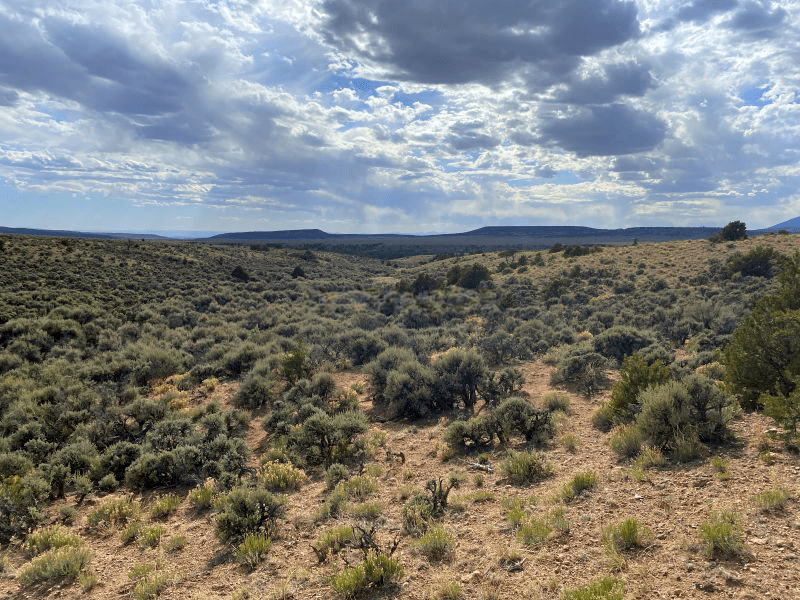 Western view from Sangre de Cristo Ranches property toward Fort Garland Colorado, featuring sagebrush-filled wash and distant mesa ridges under rolling clouds